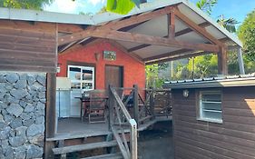 La Bananeraie Apt 35M2 Piscine Jardin Tropical Parking Prive