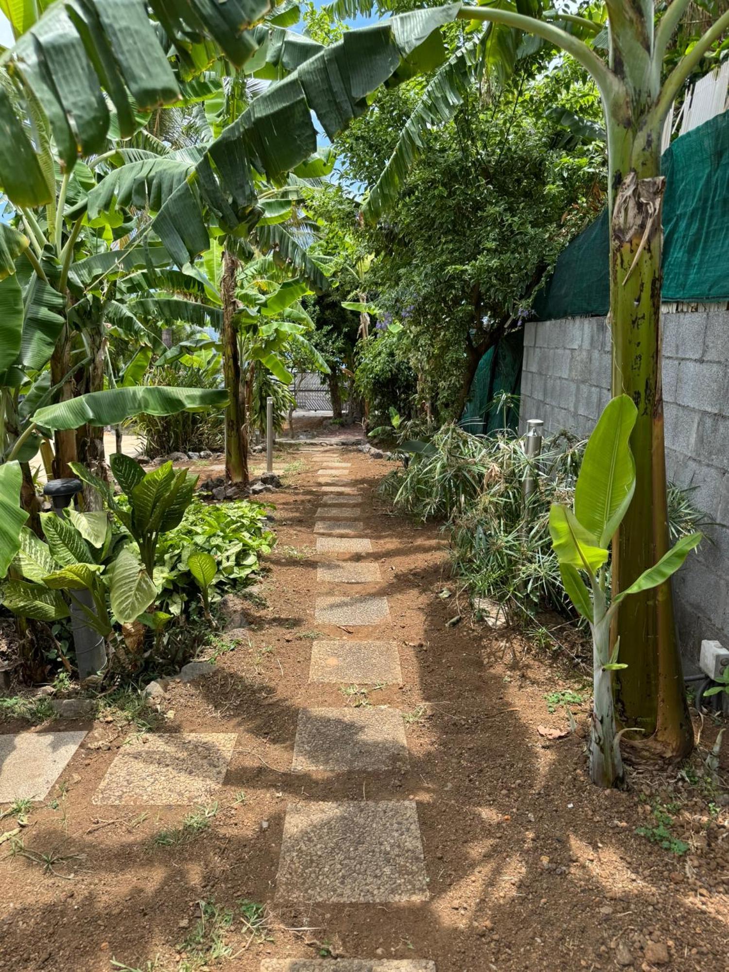 La Bananeraie Apt 35M2 Piscine Jardin Tropical Parking Prive Saint-Leu Extérieur photo