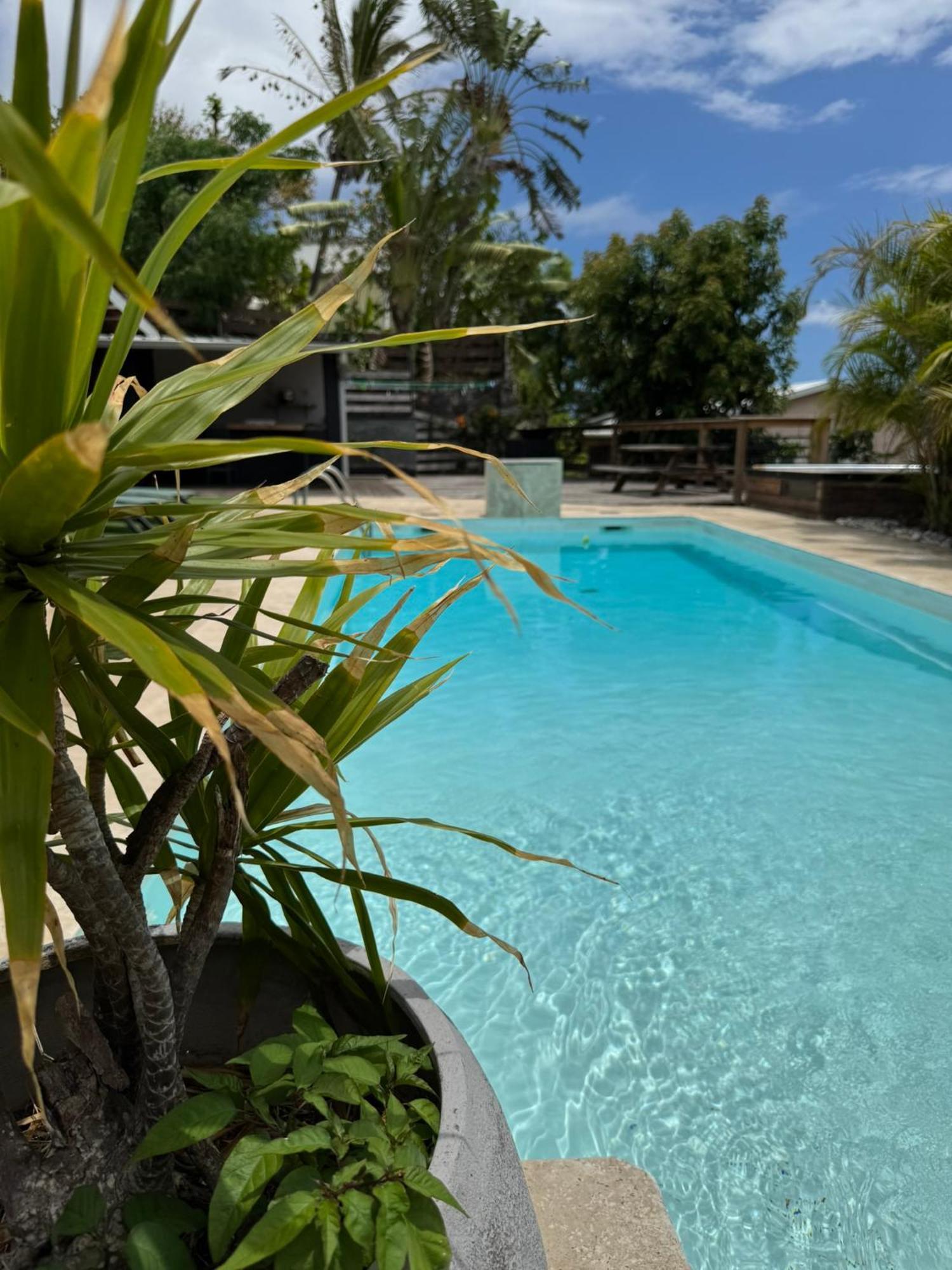 La Bananeraie Apt 35M2 Piscine Jardin Tropical Parking Prive Saint-Leu Extérieur photo